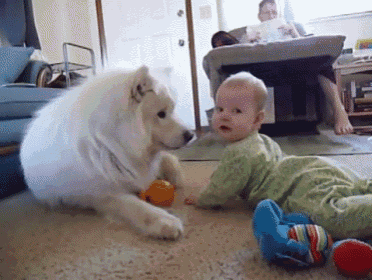 a baby and a dog are playing on the floor