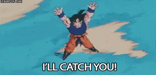 Catch Goku GIF - Catch Goku Fail GIFs