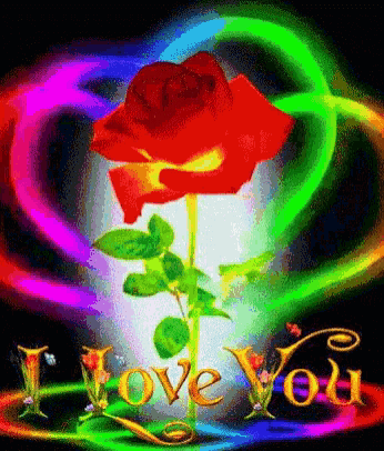 a red rose is surrounded by a rainbow heart and the words " love you "