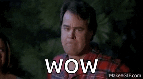 a man in a plaid shirt is making a surprised face with the word wow written next to him .