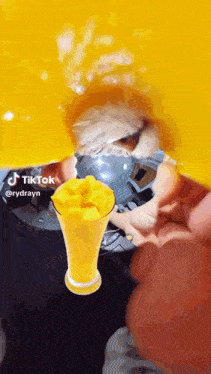 a person is pouring orange juice into a glass with a dog in the background ..