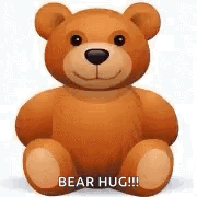 Hug Bear GIF - Hug Bear Hugs GIFs