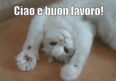 Buon Lavoro GIF - Buon Lavoro Cat Pollice GIFs