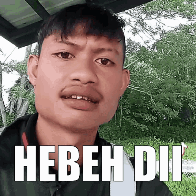 a man with a beard and mustache says hebeh dil