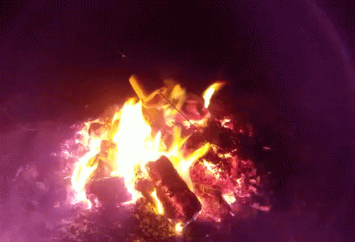Perfect Night GIF - Perfect Night For GIFs