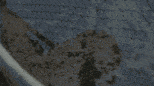 a person 's arm is shown in a blurry photo