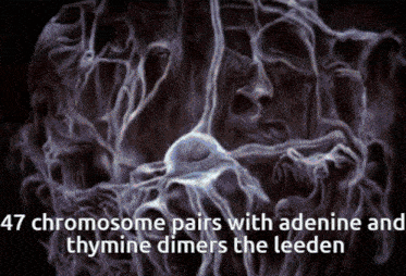 Chromosome 47 Chromosome Pairs With Adenine And Thymine Dimers The Leeden GIF - Chromosome 47 Chromosome Pairs With Adenine And Thymine Dimers The Leeden 47 Chromosome GIFs