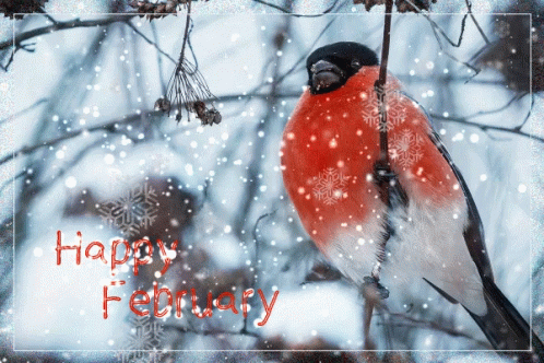 Happy February Winter GIF - Happy February Winter Snow GIFs