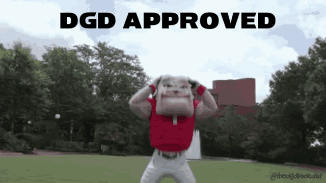 a picture of a dog with the words " dgd approved " above him