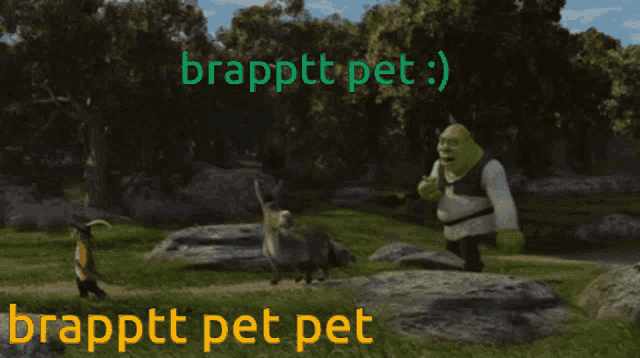 shrek and a cat are walking in a field with the words brapptt pet