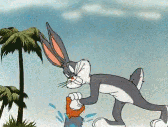 Hurricane Michael Bugs Bunny GIF - Hurricane Michael Bugs Bunny Florida GIFs