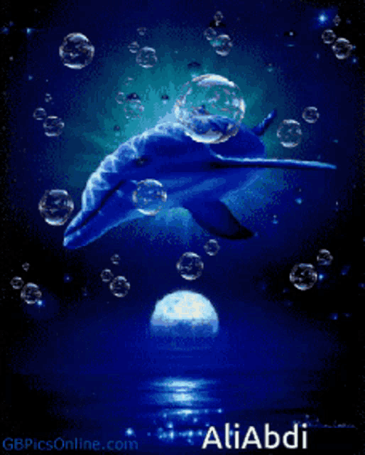 a picture of a dolphin surrounded by bubbles with the name aliabdi on the bottom