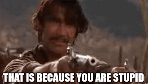 a man is pointing a gun at the camera with the words `` that is because you are stupid '' below him .