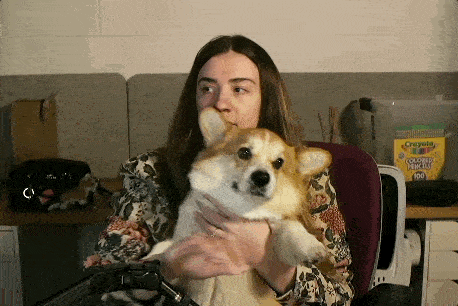 a woman is holding a corgi dog in front of a box of crayola colored pencils ..