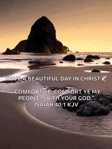 a picture of a beach with a quote from isaiah 40:31 kjv