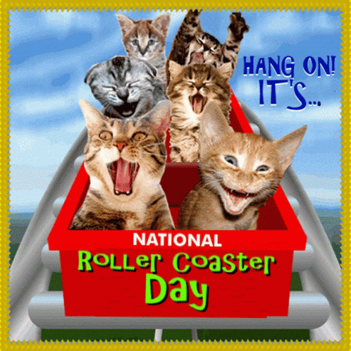 National Roller Coaster Day Happy Roller Coaster Day GIF - National Roller Coaster Day Roller Coaster Day Happy Roller Coaster Day GIFs