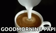 Good Morning Papi Coffee Cream GIF - Good Morning Papi Coffee Cream GIFs