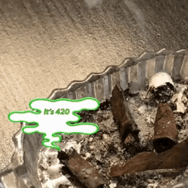 a bowl of ash with a green speech bubble that says " it 's 420 "