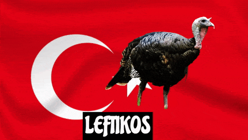 a turkey is flying in front of a turkey flag with the word leftikos on the bottom