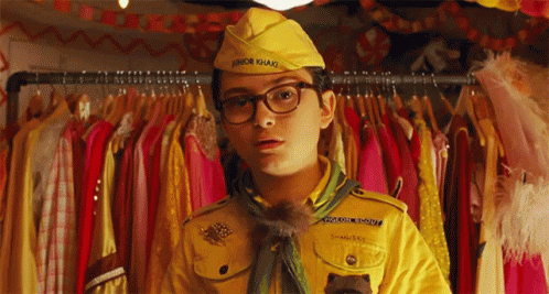 What Kind Of Bird Are You GIF - Moonrise Kingdom Moonrise Kingdom Gifs Bird GIFs