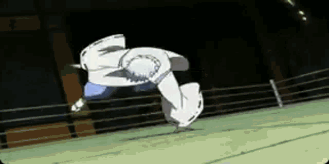 a cartoon character is doing a karate move in a ring .