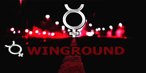 Winground GIF - Winground GIFs