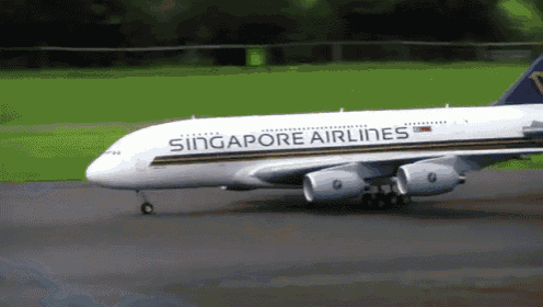 A Plane Made For Ants  GIF - Plane Jets Singapore Airlines GIFs