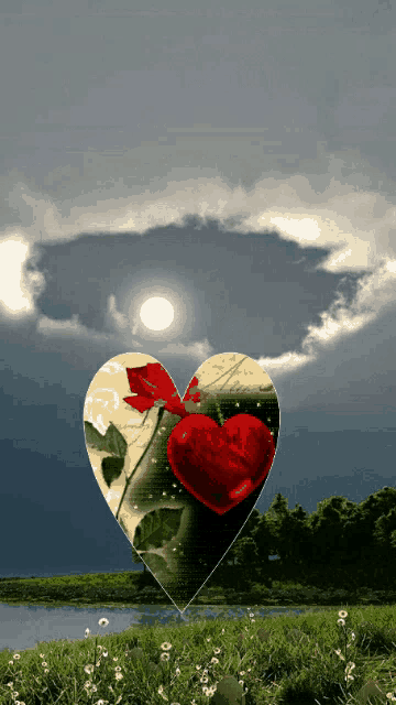 a heart shaped balloon with a red rose on it