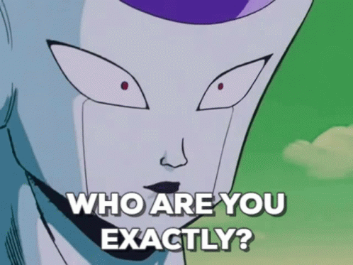 Who Are You Exactly GIF - Who Are You Exactly Dragon Ball Z GIFs
