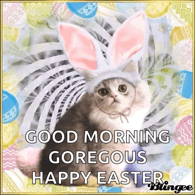 Happy Easter Cat GIF - Happy Easter Cat GIFs