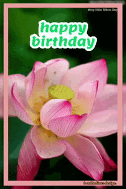a pink flower with the words happy birthday written above it