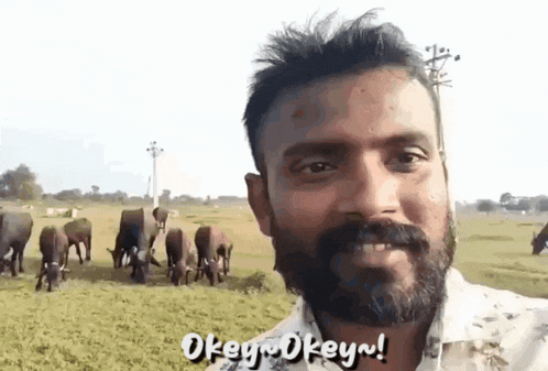 a man with a beard is standing in a field with a herd of cows in the background .