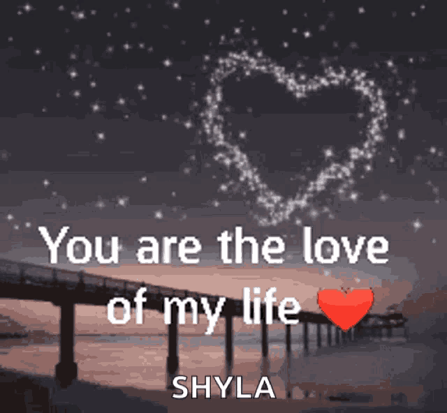 a picture of a bridge with a heart and the words you are the love of my life