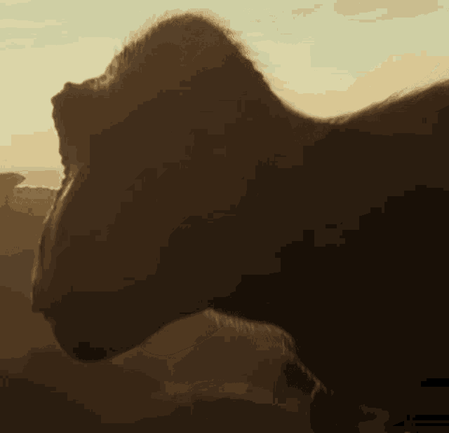 a close up of a monster 's face with a sunset in the background