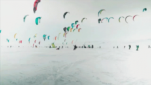 Parasailing Parachutes GIF - Parasailing Parachutes Ski GIFs