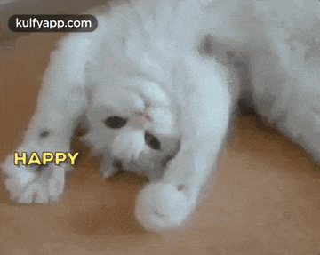 a white cat is laying on its back on the floor with the words `` happy '' above it .