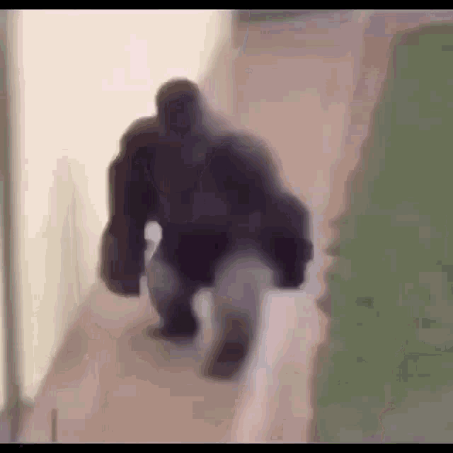 Monkey Gorilla GIF - Monkey Gorilla Running GIFs