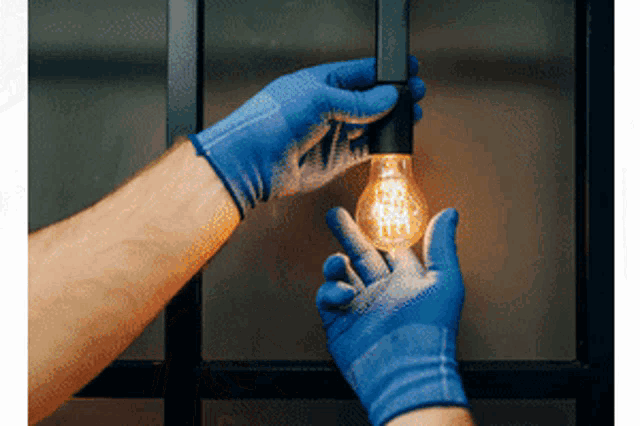 a person wearing blue gloves holds a light bulb