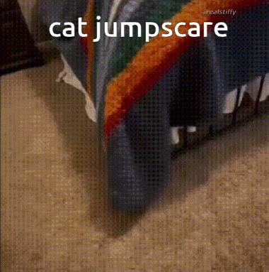 a cat jumps scare behind a bed with a rainbow blanket