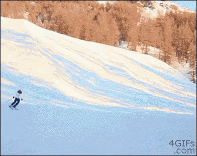 Lost One GIF - Ski Fail GIFs