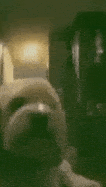 a blurry picture of a room with a person standing in the background .