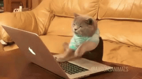 Cat Typing GIF - Cat Typing Typing On Computer - Discover & Share GIFs