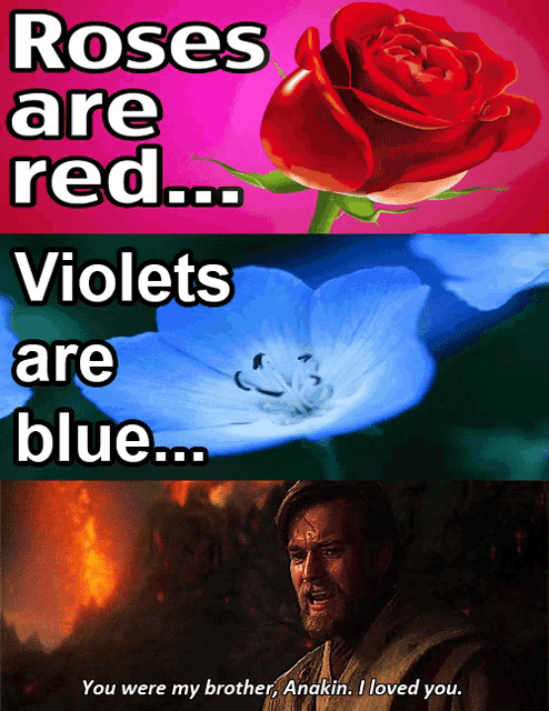 roses are red violets are blue and anakin i loved you