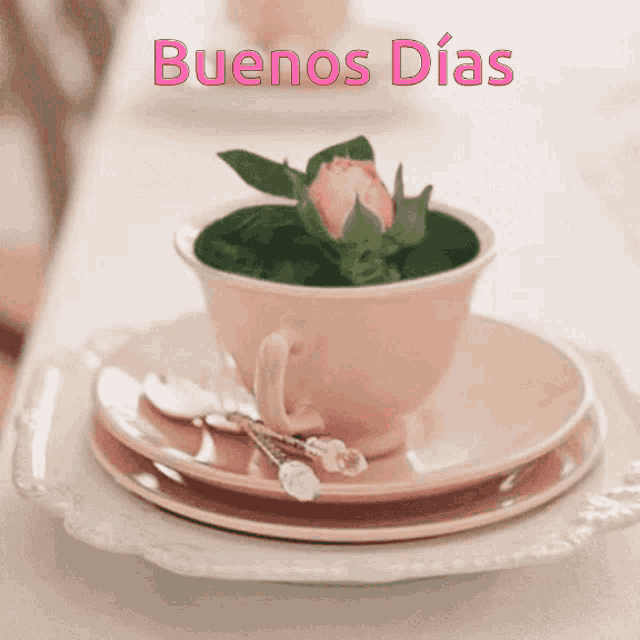 a cup of coffee with a flower in it and the words buenos dias on the bottom