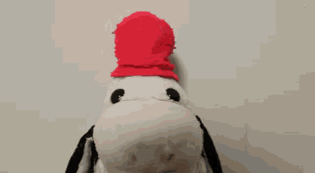 a stuffed animal with a red scarf around its neck is laying on a table .