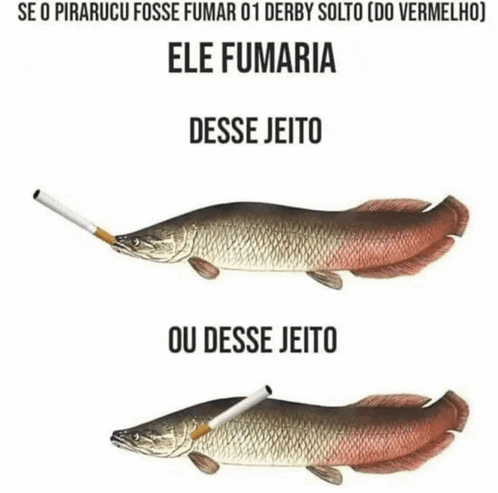 a picture of a fish with a cigarette in its mouth and the words se o pirarucu fosse fumar 01 derby solto