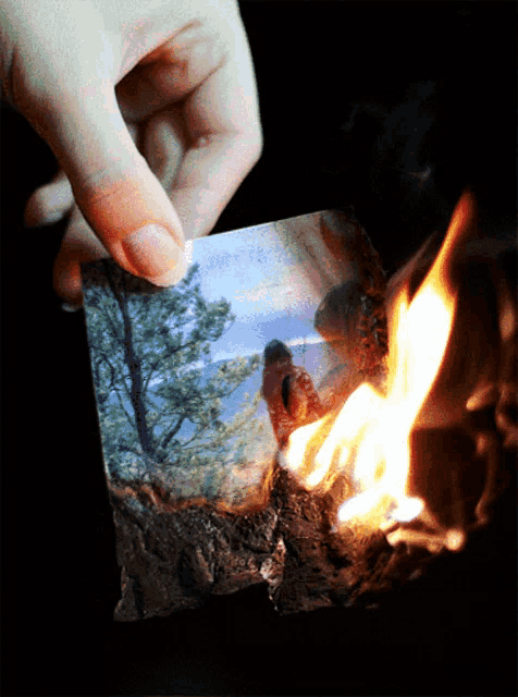 a person is burning a picture of a tree and a mountain