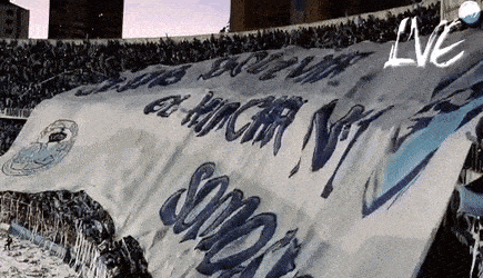 a large blue and white flag is being waved in a crowded stadium .