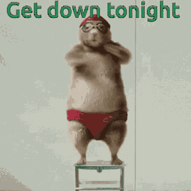 Hamster Get Down GIF - Hamster Get Down Tonight GIFs