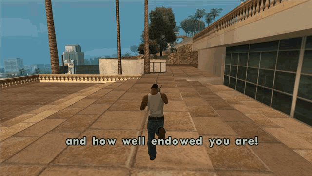 a screenshot of a video game with the words and how well endowed you are at the bottom